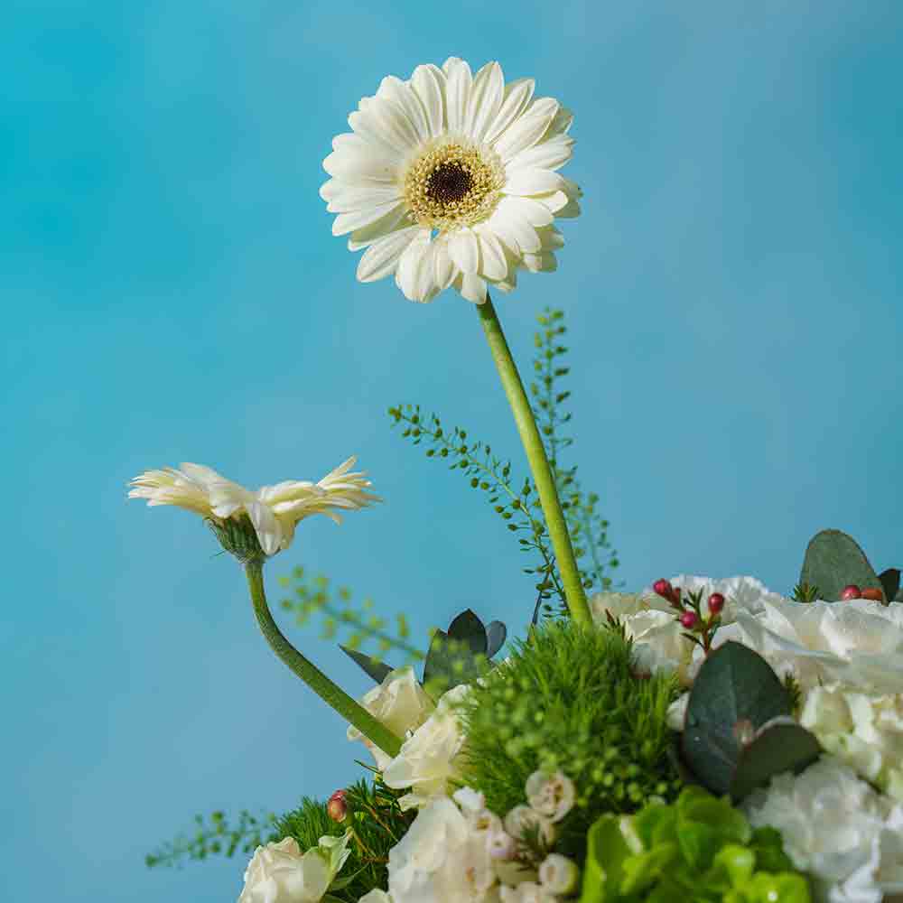 Forever In My Garden